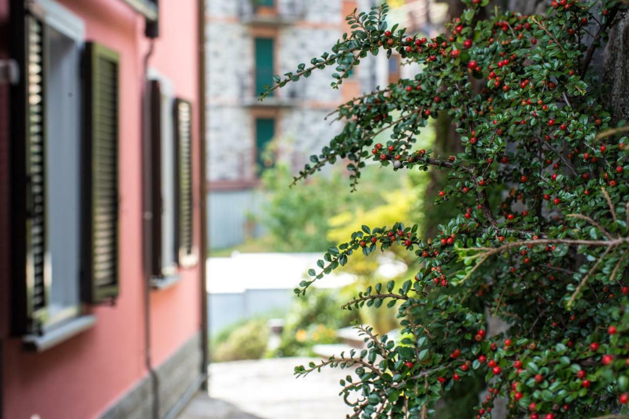 Residence Casa Rosa Джера-Ларио Экстерьер фото